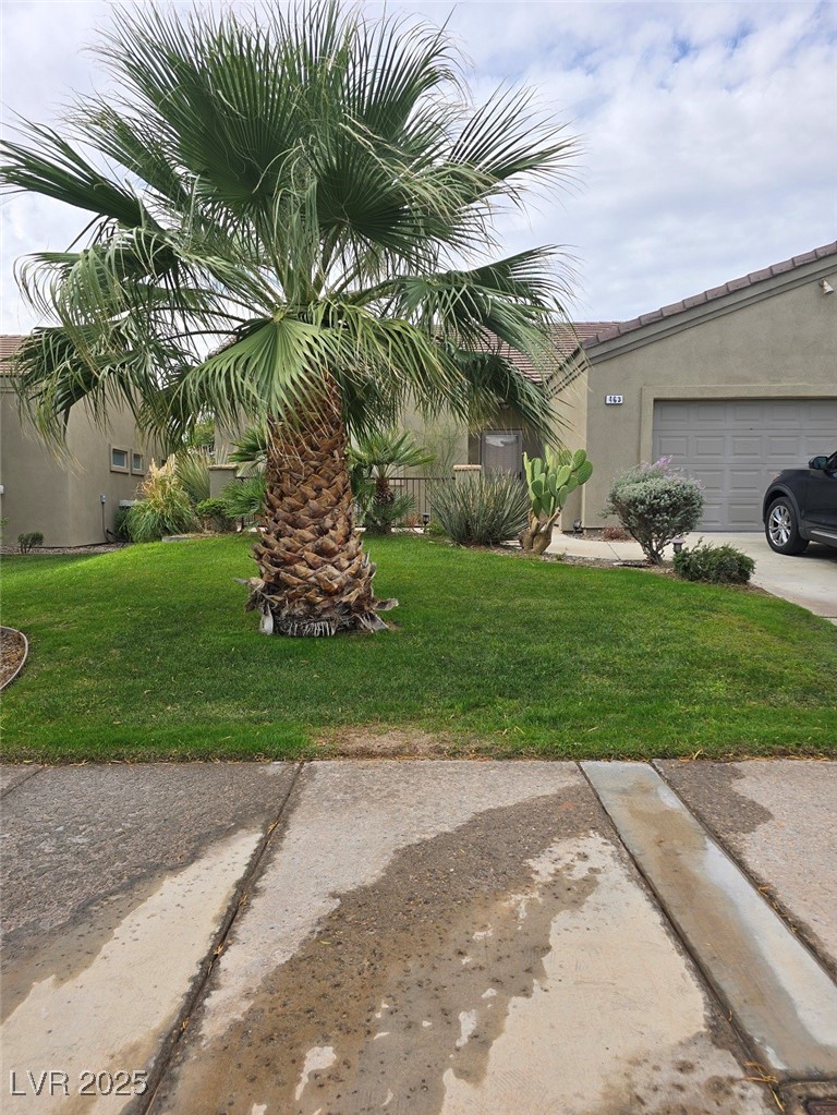463 Hagens Alley Property Photo 23