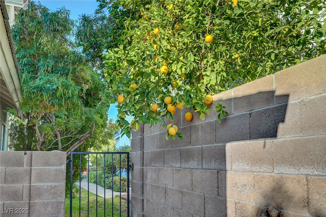 2520 Kilmaron Circle Property Photo 50