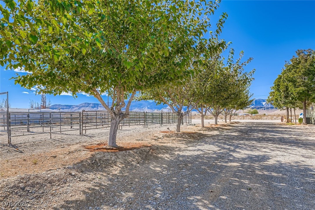 12992 State Hwy 160 Road Property Photo 11