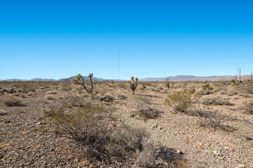 Rantool Street Property Photo 30