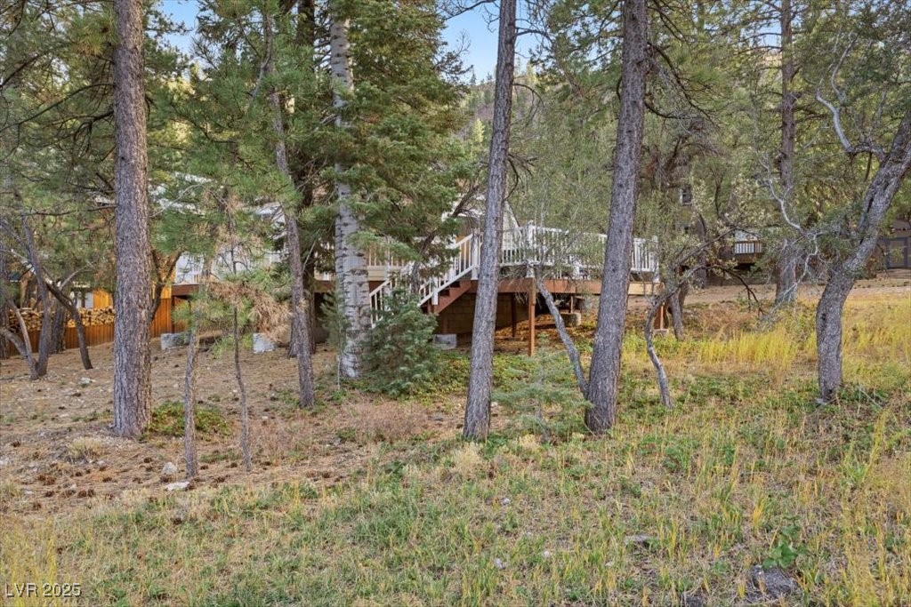 4101 Mont Blanc Way Property Photo 32