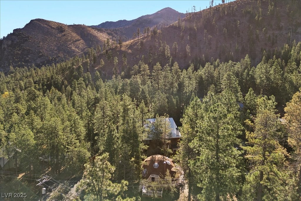 4101 Mont Blanc Way Property Photo 42