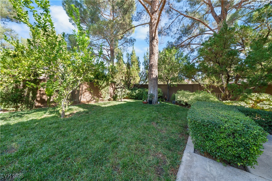 7960 Bermuda Dunes Avenue Property Photo 46