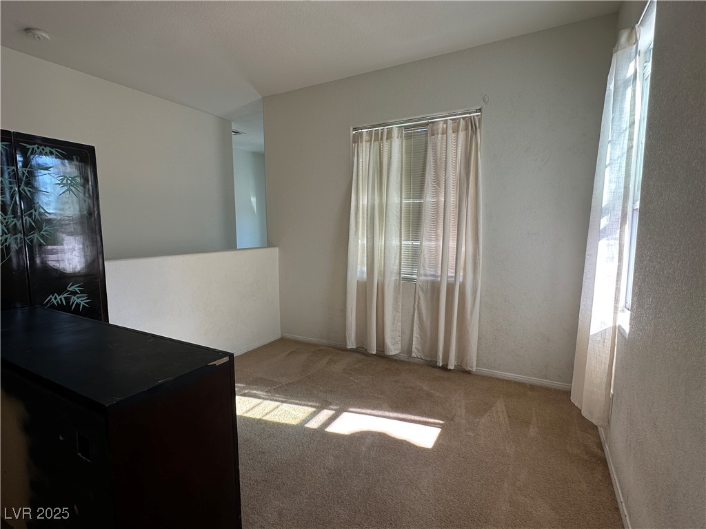 10153 Sunshine Village Place Property Photo 14