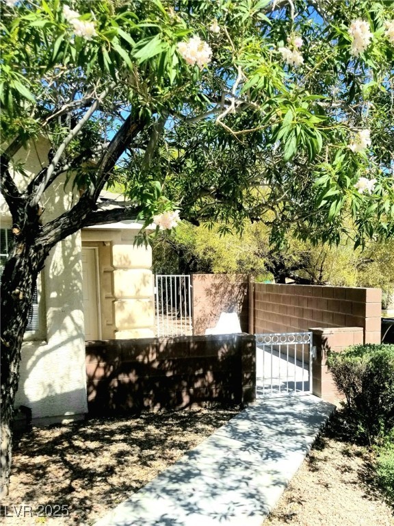 3252 Little Stream Street Property Photo 1