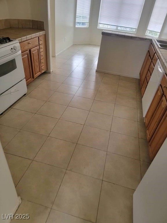 3237 Perching Bird Lane Property Photo 18