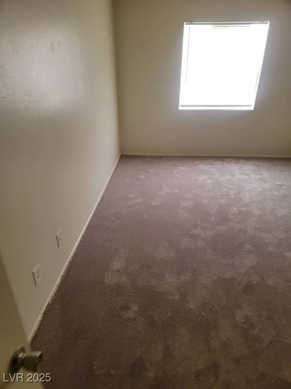 3237 Perching Bird Lane Property Photo 24