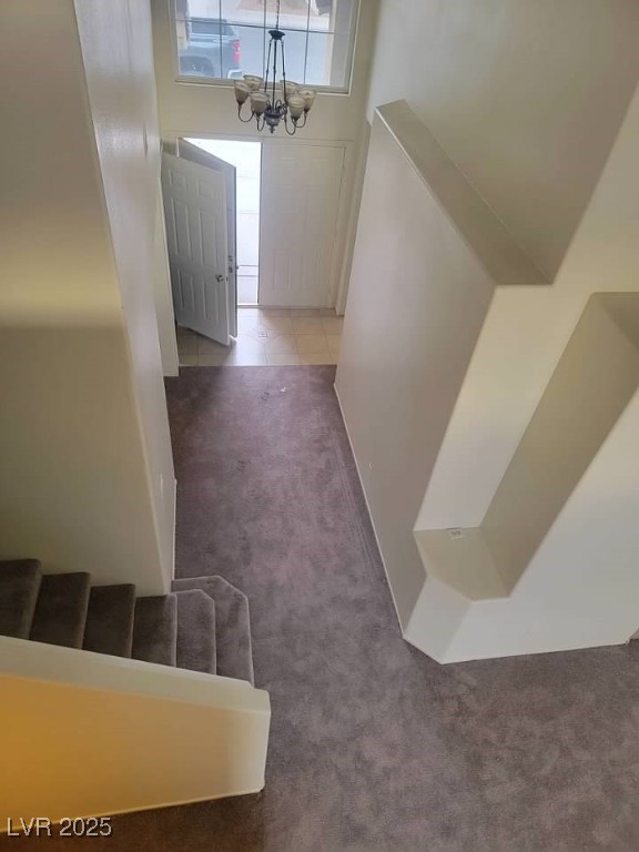 3237 Perching Bird Lane Property Photo 25