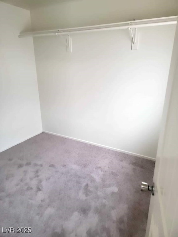 3237 Perching Bird Lane Property Photo 29