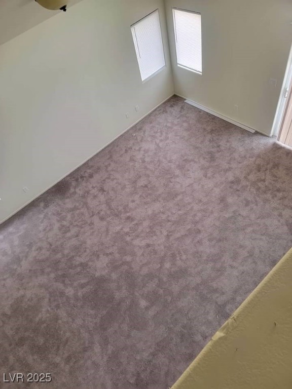 3237 Perching Bird Lane Property Photo 31