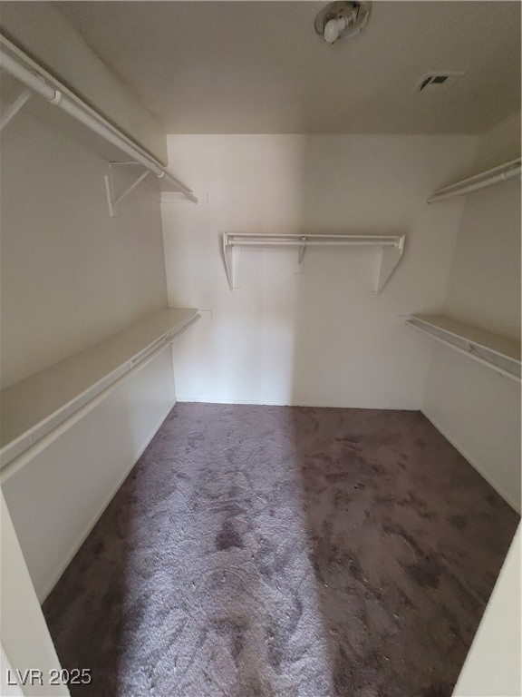 3237 Perching Bird Lane Property Photo 32