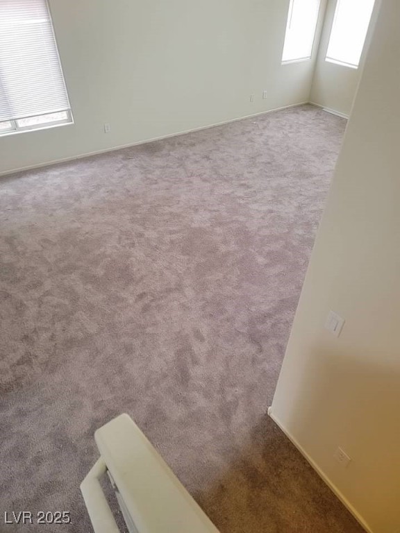 3237 Perching Bird Lane Property Photo 37