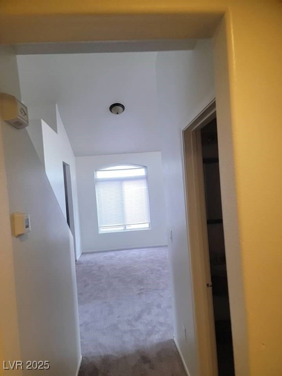 3237 Perching Bird Lane Property Photo 38