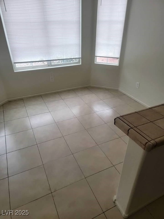 3237 Perching Bird Lane Property Photo 40