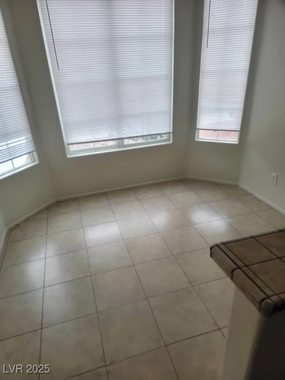 3237 Perching Bird Lane Property Photo 42