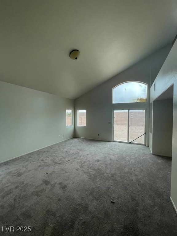 3237 Perching Bird Lane Property Photo 53