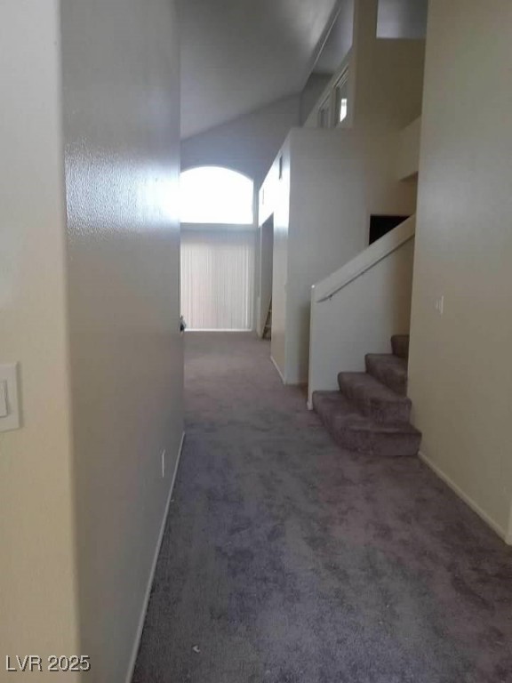 3237 Perching Bird Lane Property Photo 57