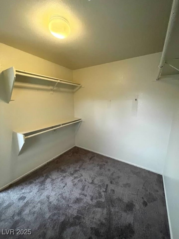 3237 Perching Bird Lane Property Photo 61