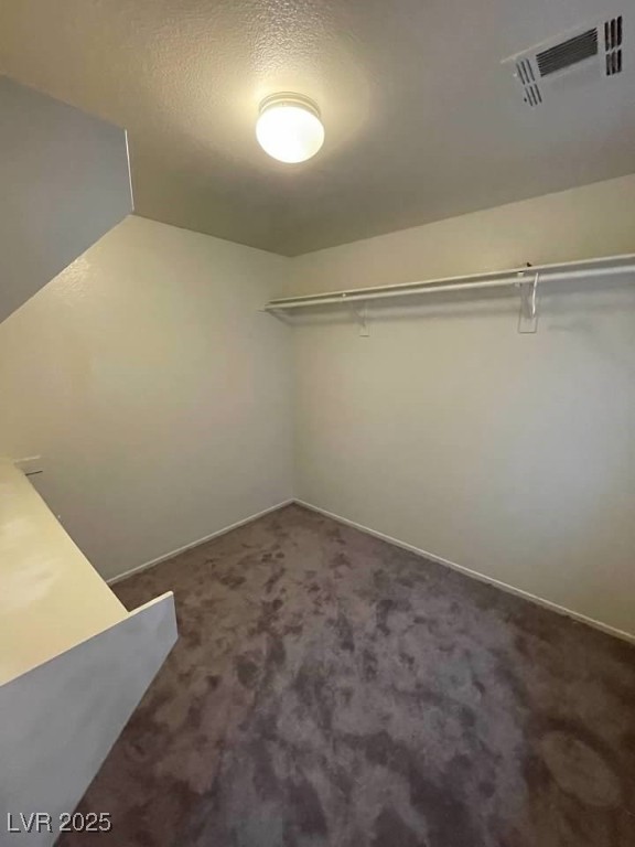 3237 Perching Bird Lane Property Photo 65