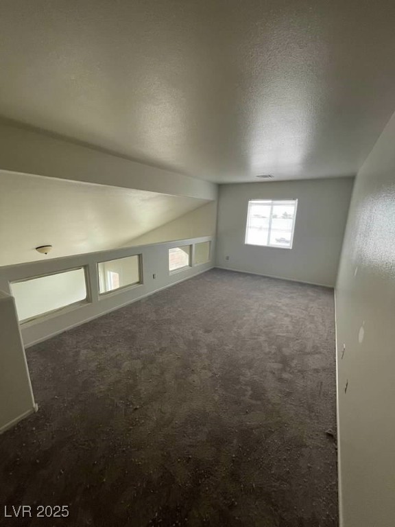 3237 Perching Bird Lane Property Photo 71