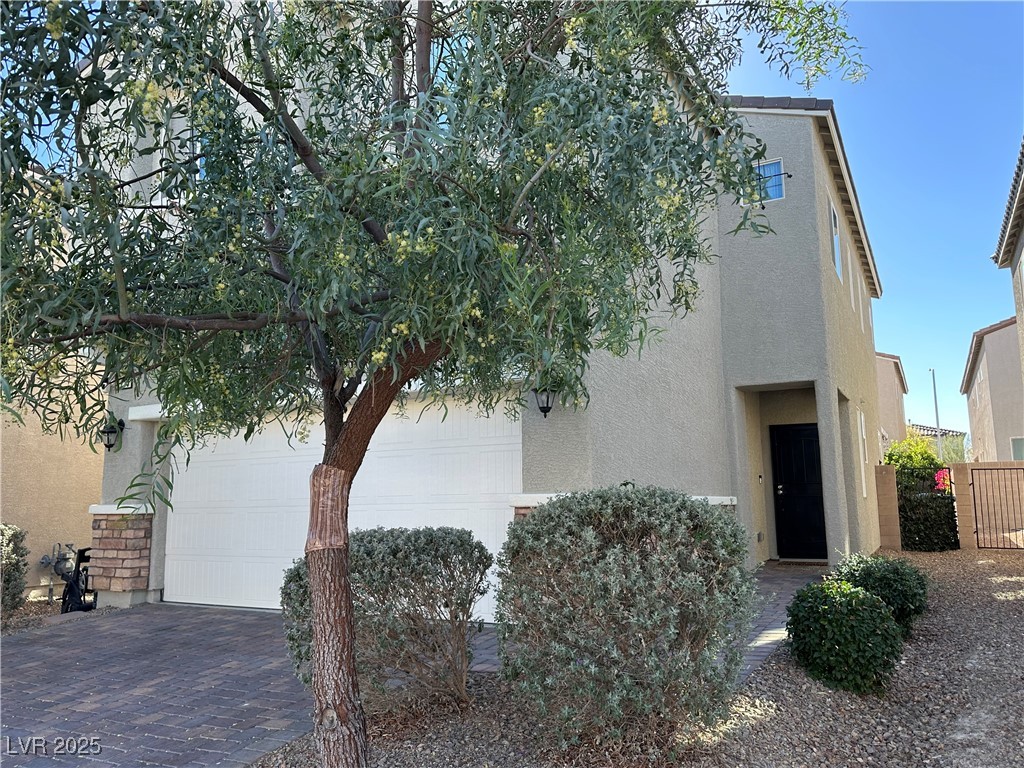 1215 Solemn Cactus Avenue Property Photo 3