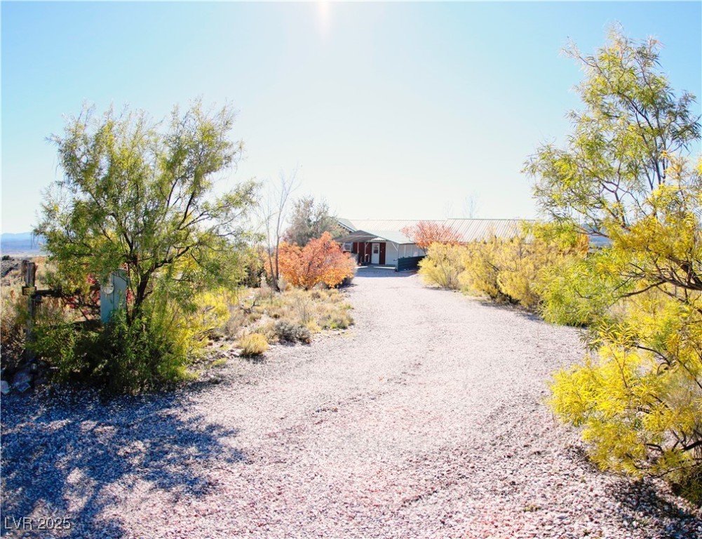 5203 Blue Desert Trail Property Photo 4