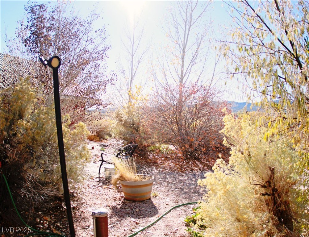 5203 Blue Desert Trail Property Photo 20