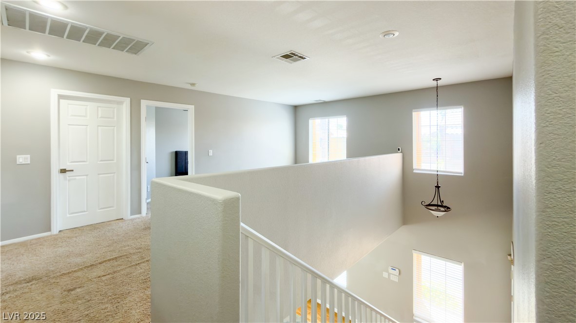 3610 Pinnate Drive Property Photo 5