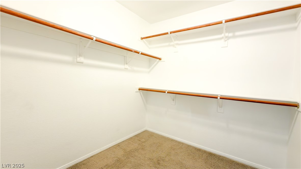 3610 Pinnate Drive Property Photo 9