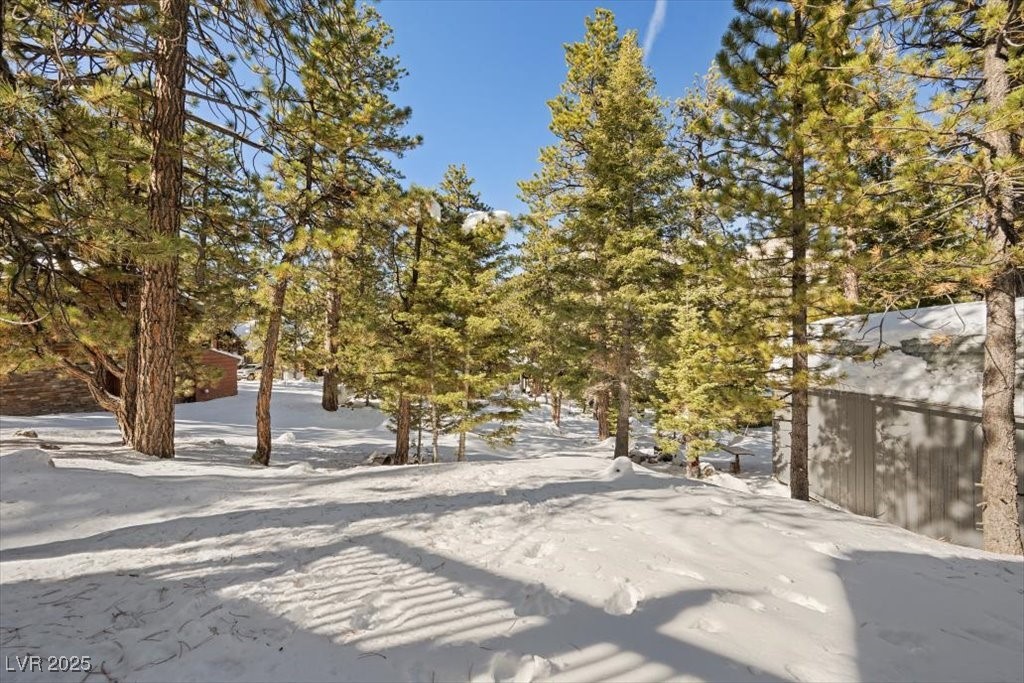 2130 Via Vita Street Property Photo 8