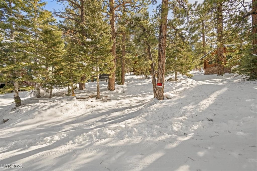 2130 Via Vita Street Property Photo 11