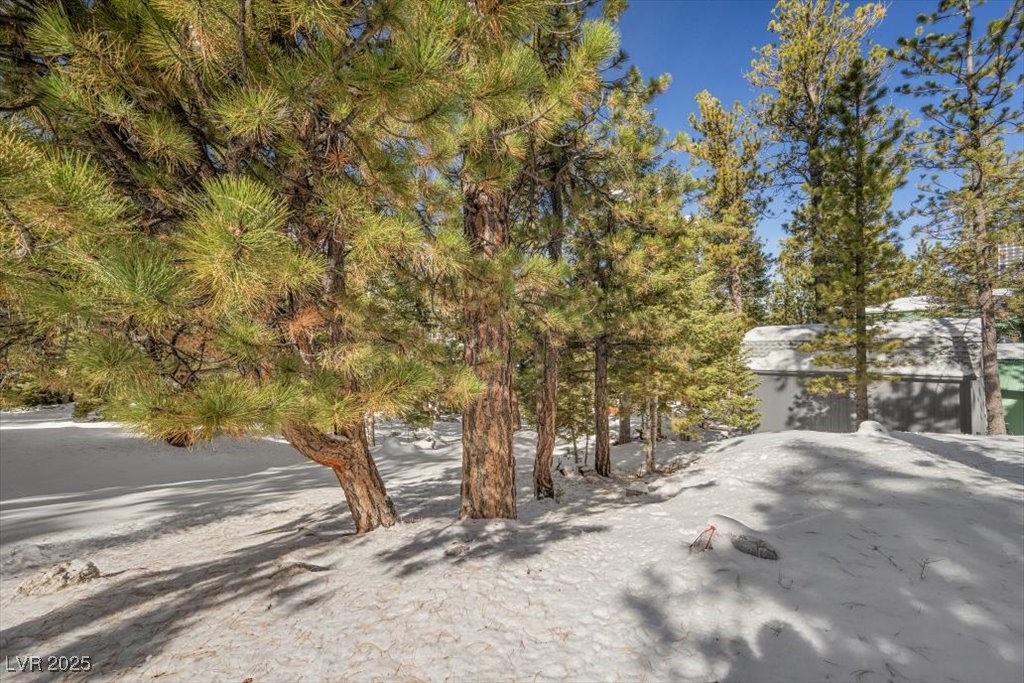 2130 Via Vita Street Property Photo 12