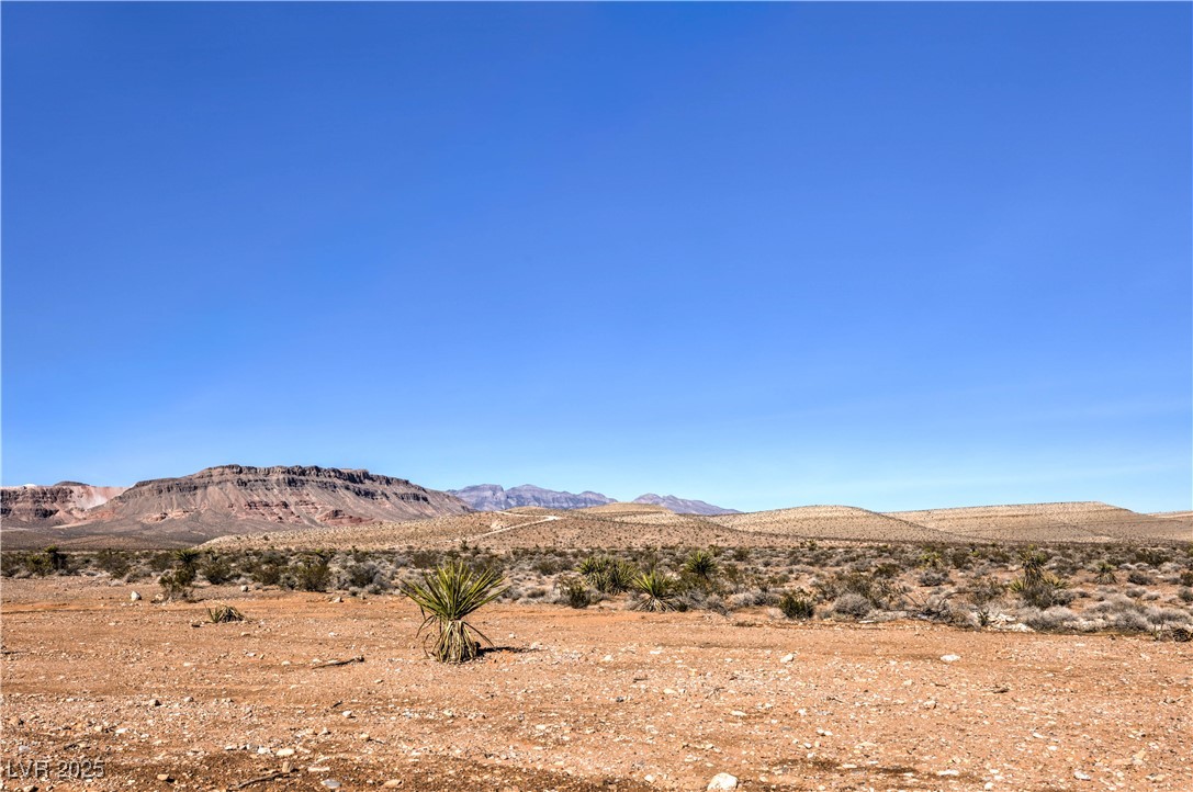 Wigwam Property Photo 7