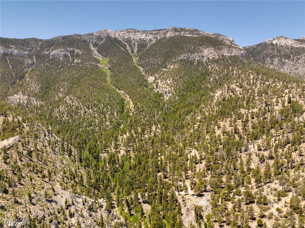 4085 Cougar Ridge Trail Property Photo 2