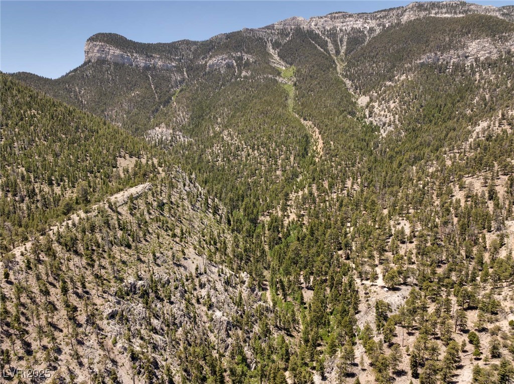 4085 Cougar Ridge Trail Property Photo 3