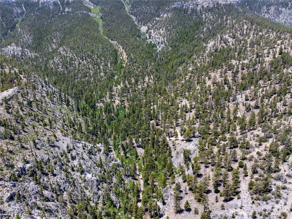 4085 Cougar Ridge Trail Property Photo 5