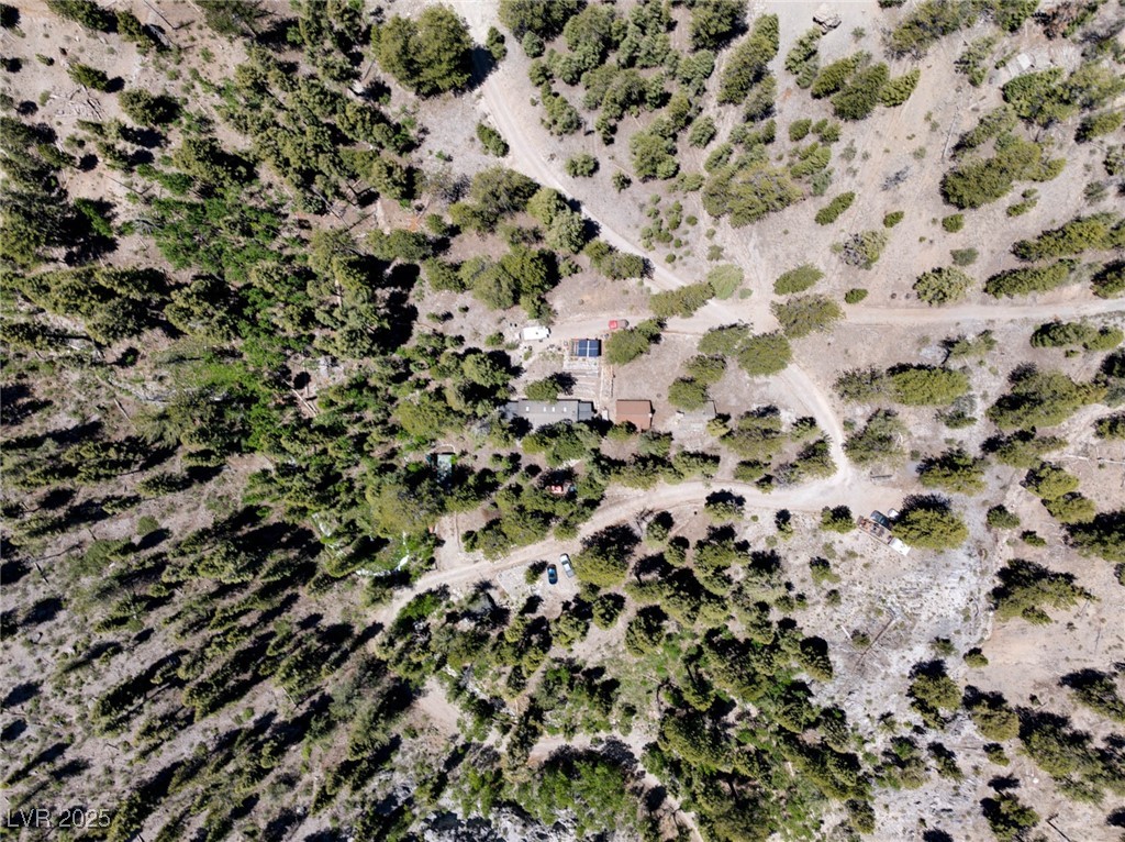 4085 Cougar Ridge Trail Property Photo 6