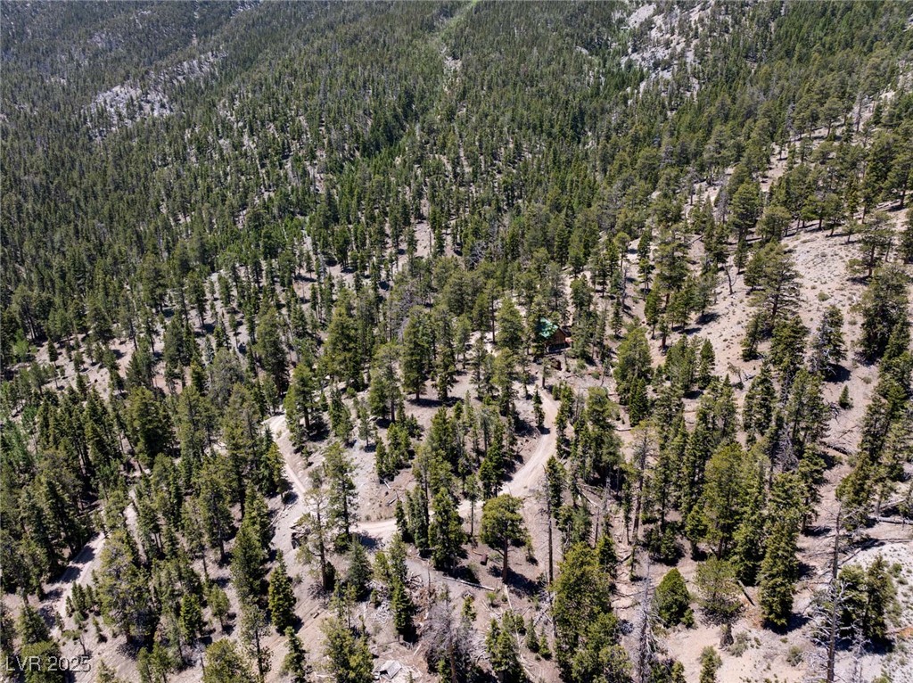 4085 Cougar Ridge Trail Property Photo 8
