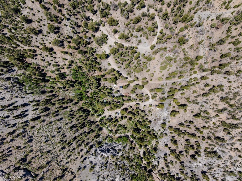 4085 Cougar Ridge Trail Property Photo 9