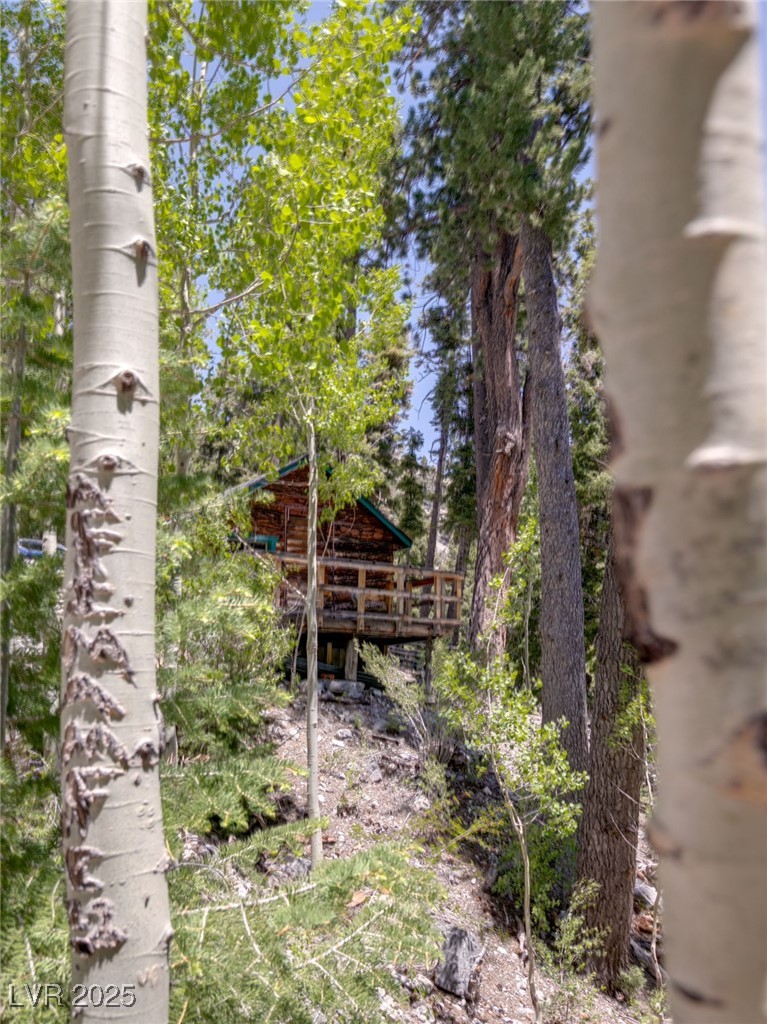 4085 Cougar Ridge Trail Property Photo 13