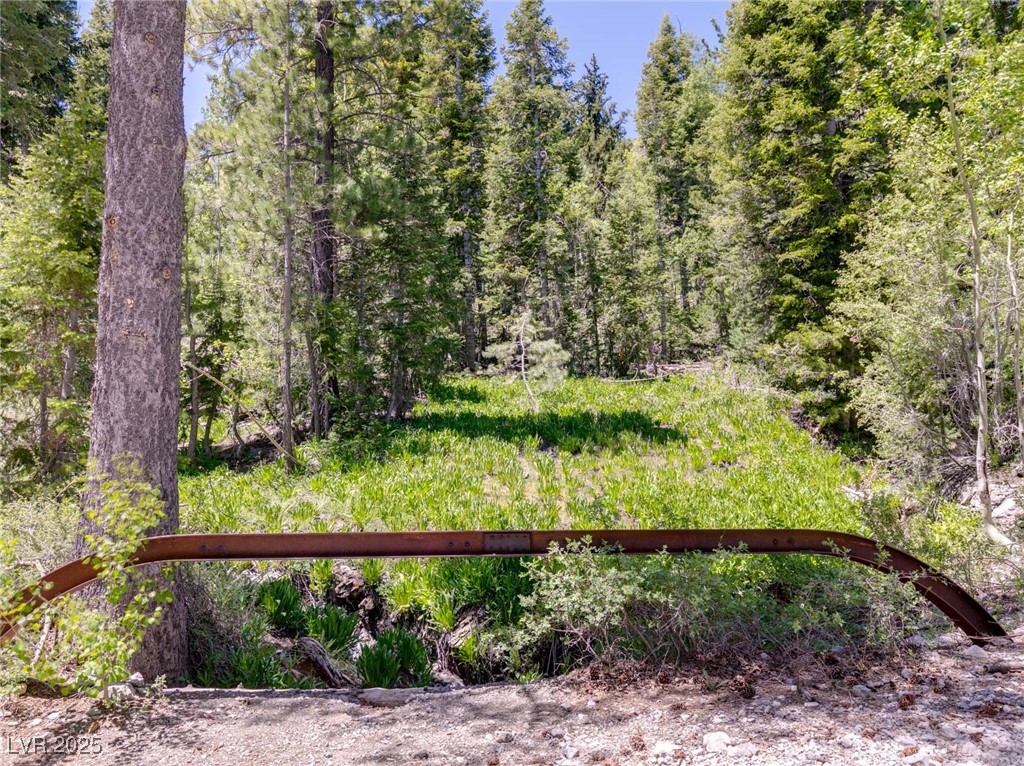 4085 Cougar Ridge Trail Property Photo 14