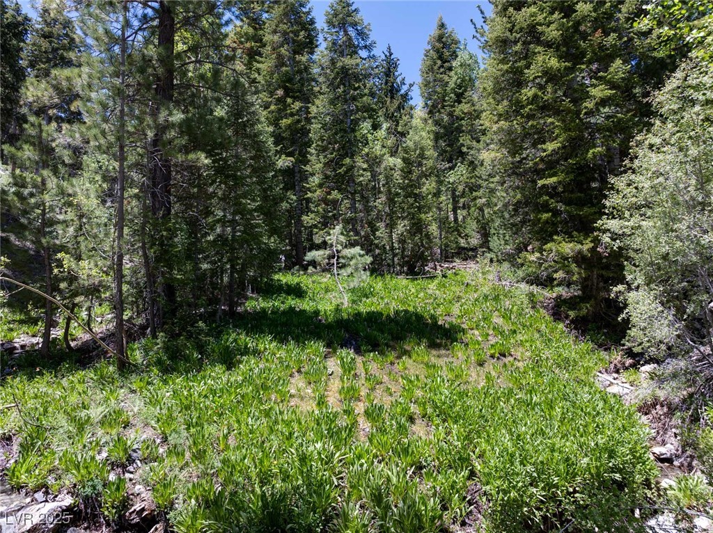4085 Cougar Ridge Trail Property Photo 16
