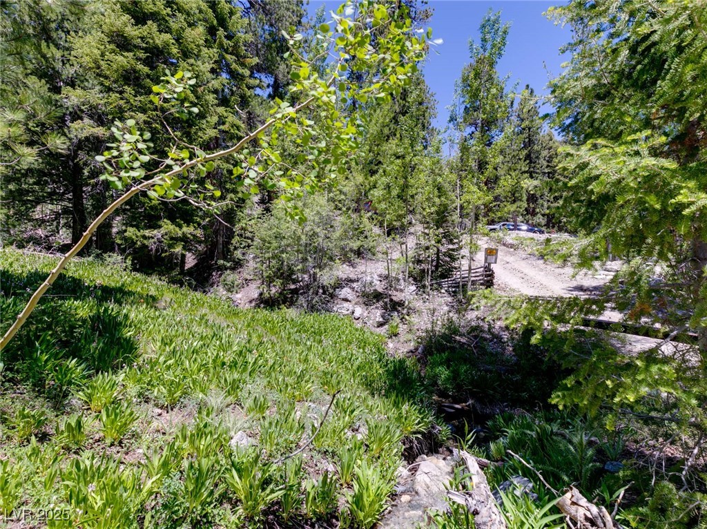 4085 Cougar Ridge Trail Property Photo 19