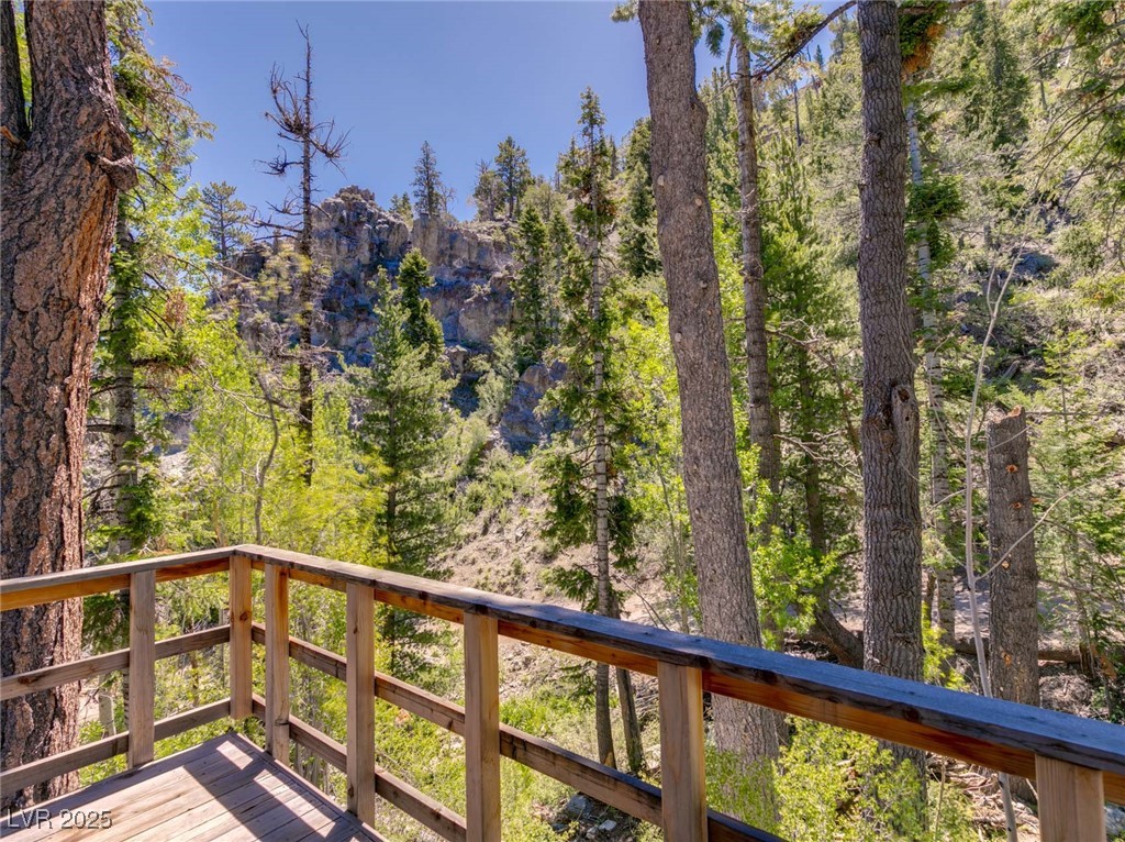 4085 Cougar Ridge Trail Property Photo 23
