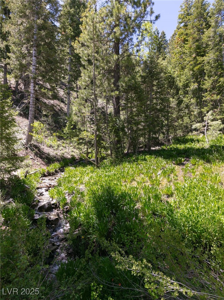 4085 Cougar Ridge Trail Property Photo 25
