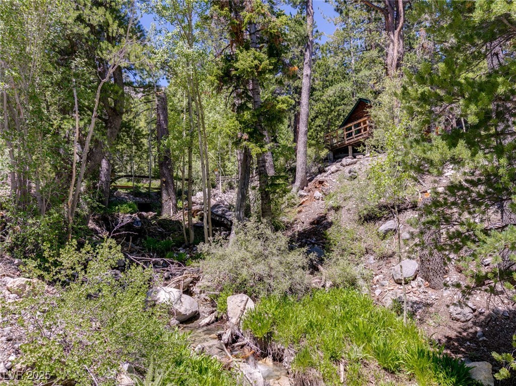 4085 Cougar Ridge Trail Property Photo 26