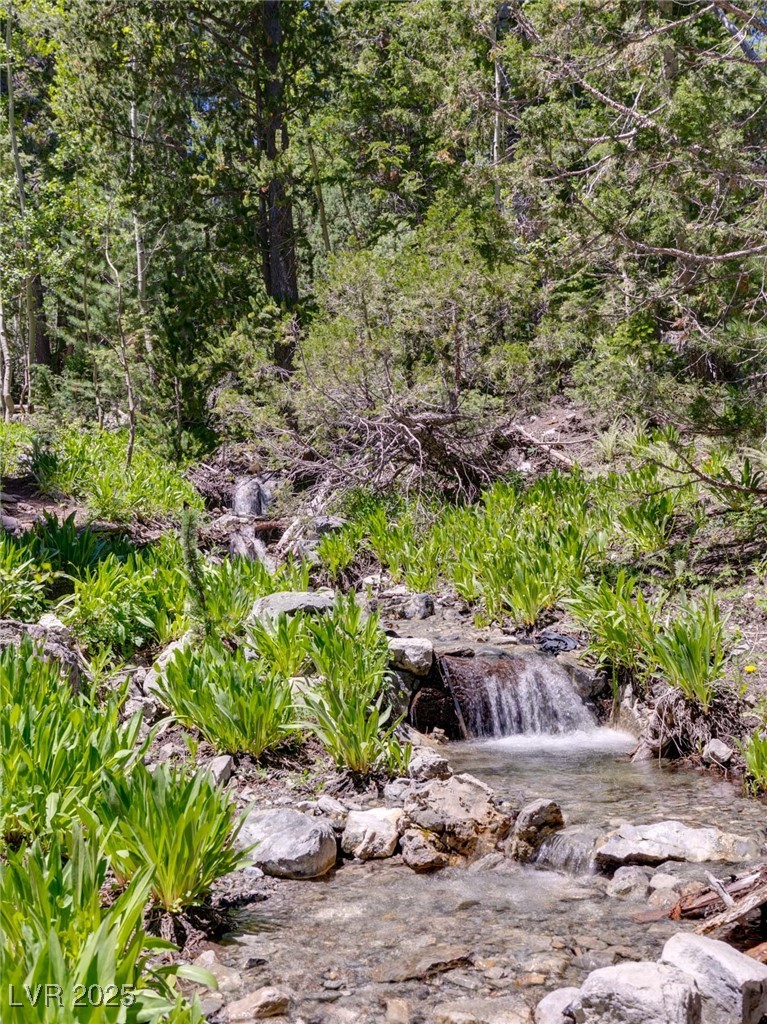 4085 Cougar Ridge Trail Property Photo 29