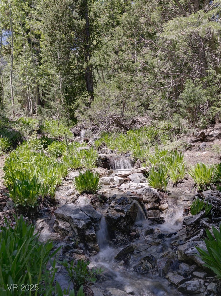 4085 Cougar Ridge Trail Property Photo 30