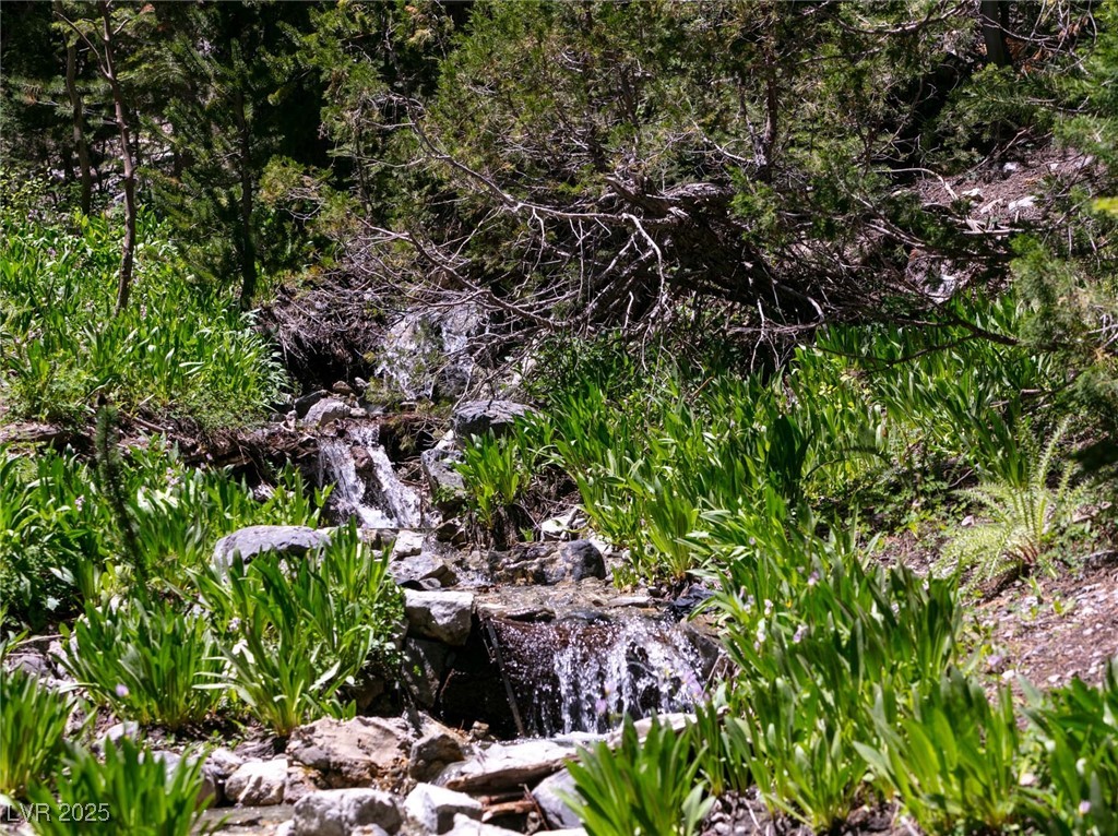 4085 Cougar Ridge Trail Property Photo 31