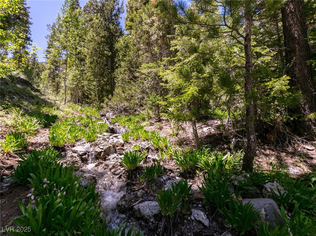 4085 Cougar Ridge Trail Property Photo 34